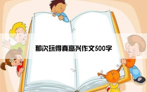 那次玩得真高兴作文500字