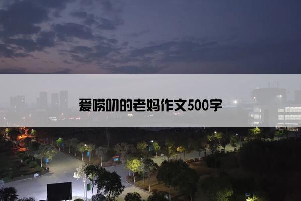 爱唠叨的老妈作文500字