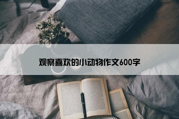 观察喜欢的小动物作文600字