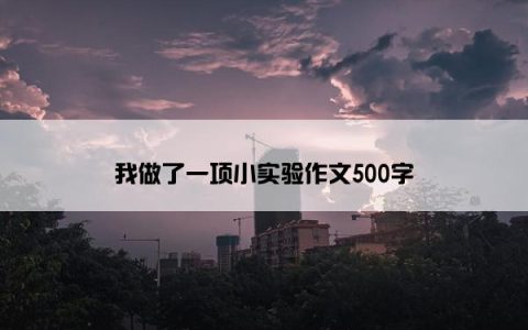 我做了一项小实验作文500字