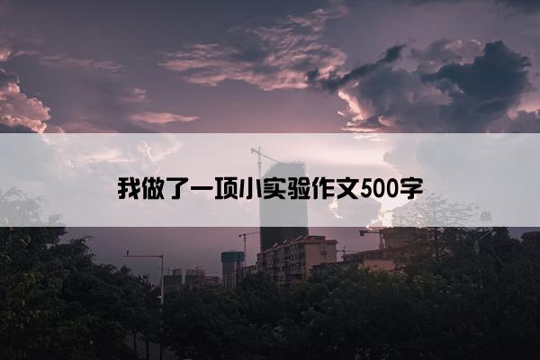 我做了一项小实验作文500字