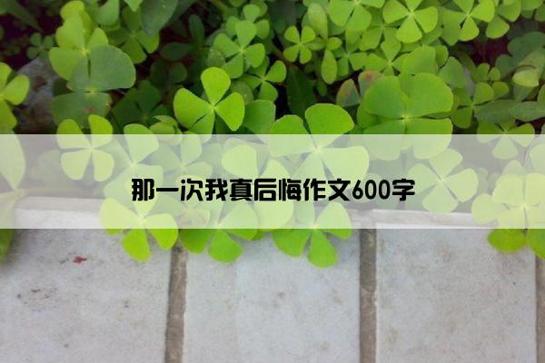 那一次我真后悔作文600字