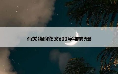 有关猫的作文600字锦集9篇
