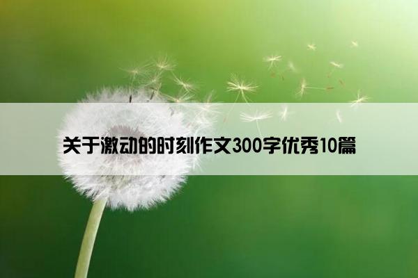 关于激动的时刻作文300字优秀10篇