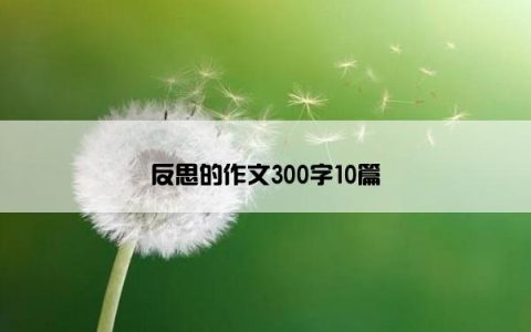 反思的作文300字10篇