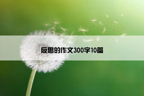 反思的作文300字10篇