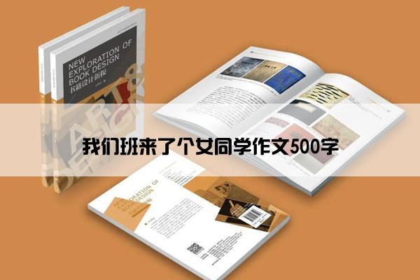 我们班来了个女同学作文500字