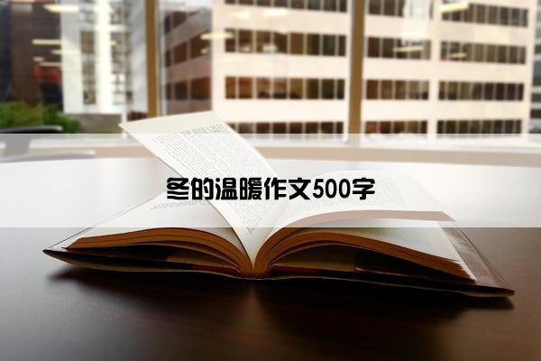 冬的温暖作文500字