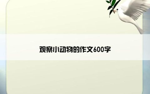 观察小动物的作文600字