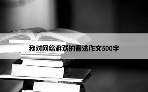 我对网络游戏的看法作文500字