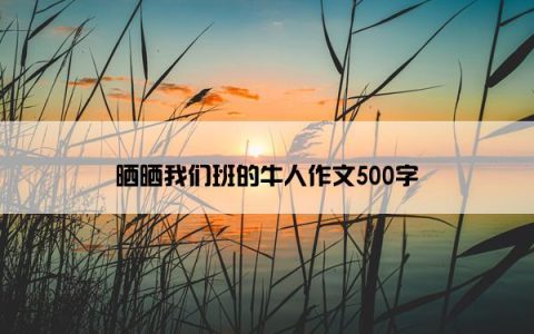 晒晒我们班的牛人作文500字