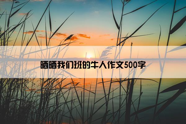 晒晒我们班的牛人作文500字