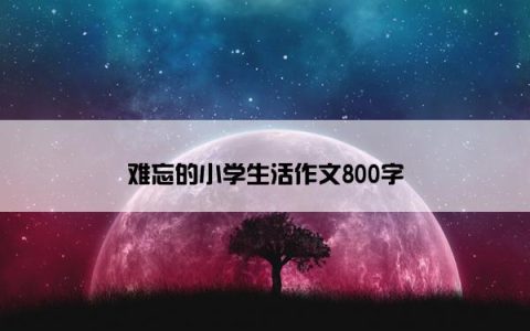 难忘的小学生活作文800字