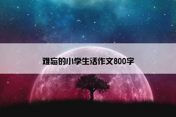 难忘的小学生活作文800字