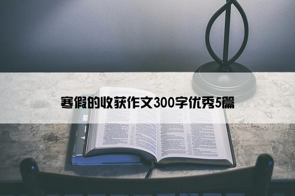 寒假的收获作文300字优秀5篇