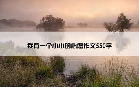 我有一个小小的心愿作文550字