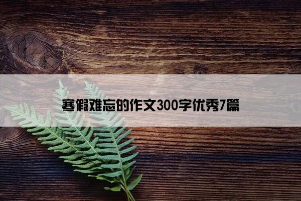 寒假难忘的作文300字优秀7篇