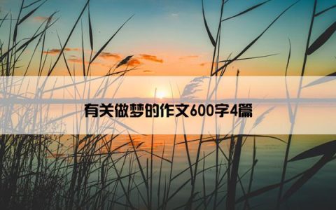 有关做梦的作文600字4篇