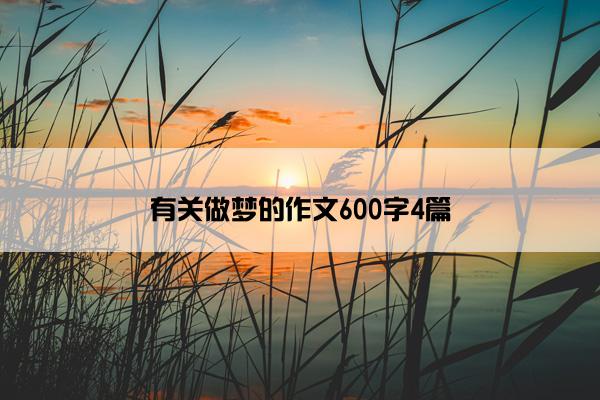 有关做梦的作文600字4篇