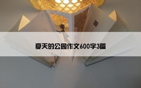 夏天的公园作文600字3篇