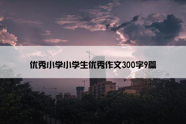 优秀小学小学生优秀作文300字9篇