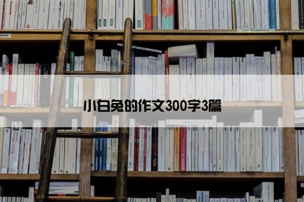 小白兔的作文300字3篇