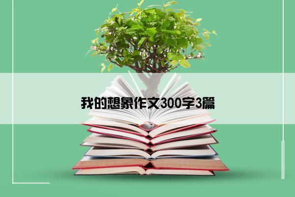 我的想象作文300字3篇