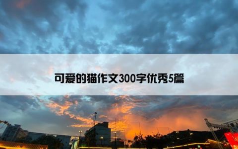 可爱的猫作文300字优秀5篇