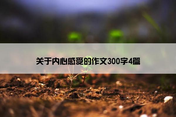 关于内心感受的作文300字4篇