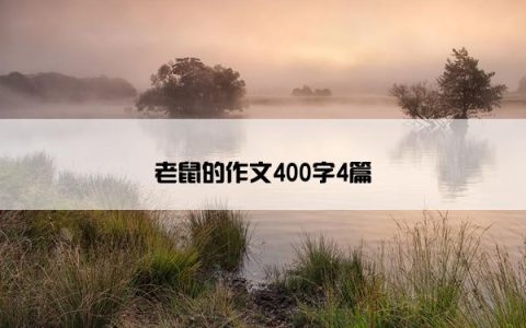 老鼠的作文400字4篇