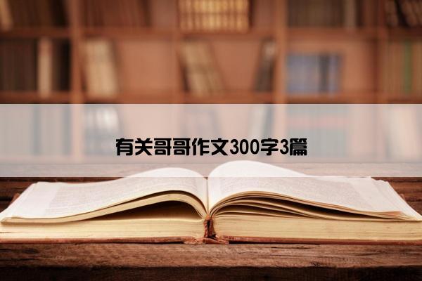 有关哥哥作文300字3篇