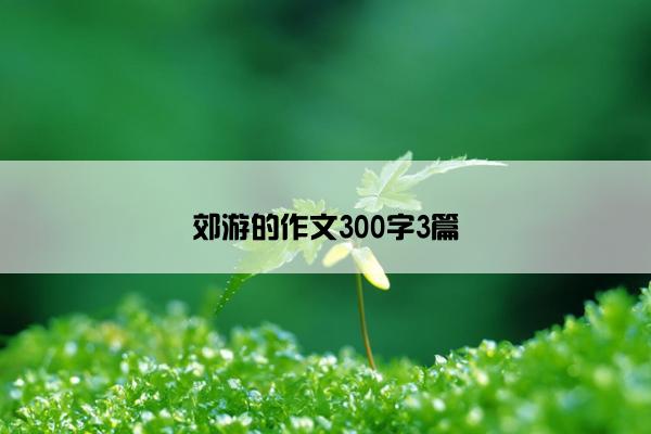 郊游的作文300字3篇