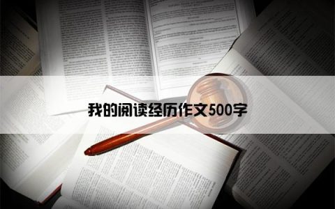 我的阅读经历作文500字