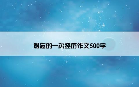 难忘的一次经历作文500字