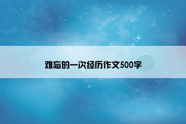 难忘的一次经历作文500字