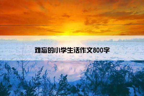 难忘的小学生活作文800字