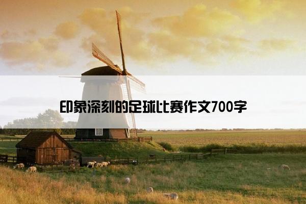 印象深刻的足球比赛作文700字