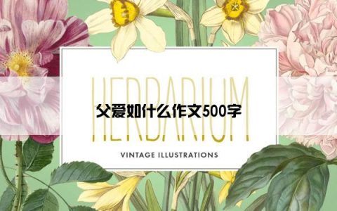 父爱如什么作文500字