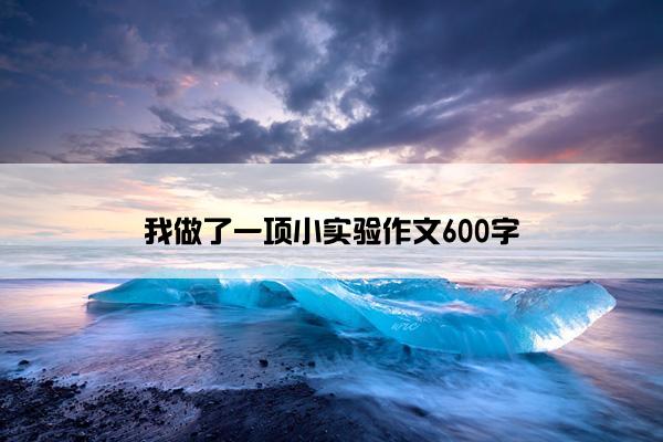 我做了一项小实验作文600字