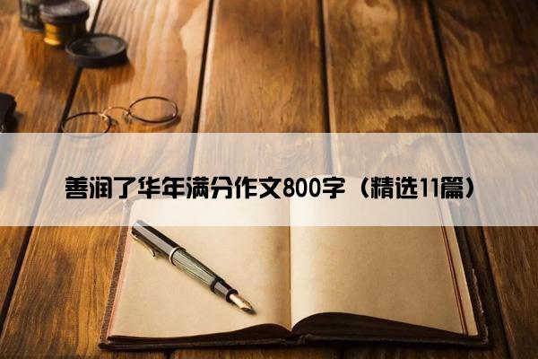 善润了华年满分作文800字（精选11篇）