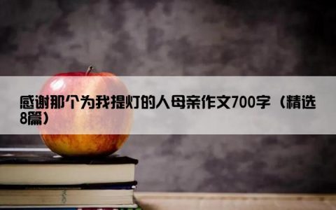 感谢那个为我提灯的人母亲作文700字（精选8篇）