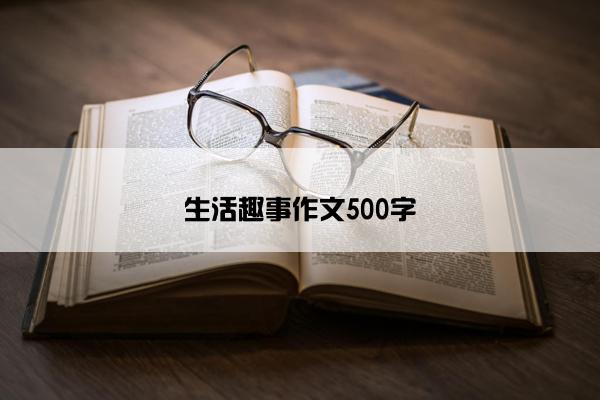 生活趣事作文500字