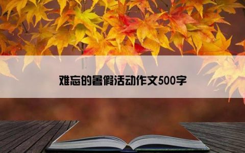 难忘的暑假活动作文500字