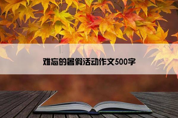 难忘的暑假活动作文500字