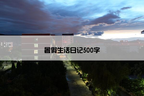 暑假生活日记500字