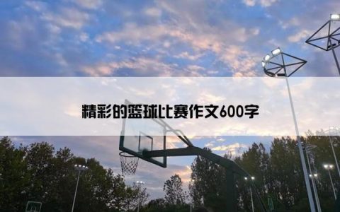 精彩的篮球比赛作文600字