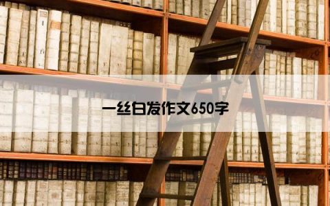 一丝白发作文650字