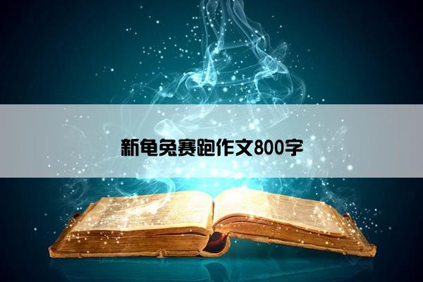 新龟兔赛跑作文800字