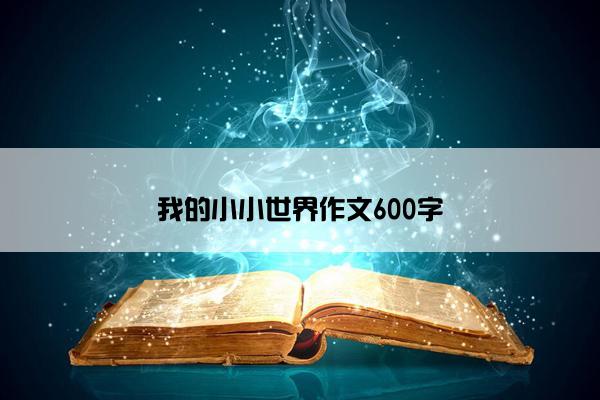 我的小小世界作文600字