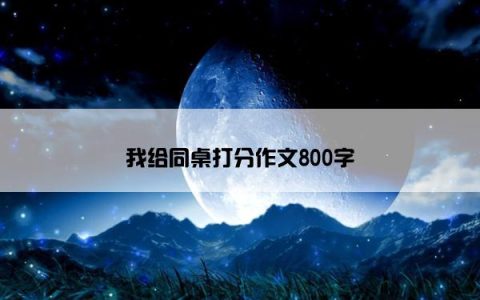 我给同桌打分作文800字